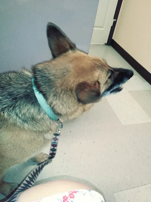 Clark County Veterinary Clinic Picture 10