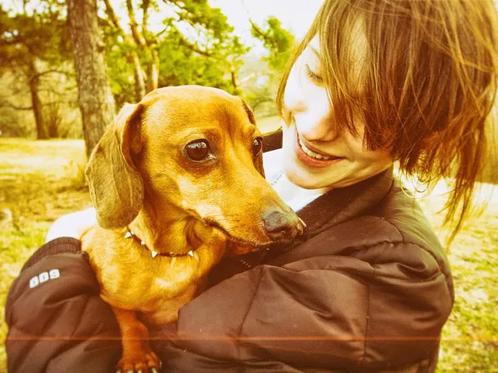 Plum Street Pet Clinic Picture 4