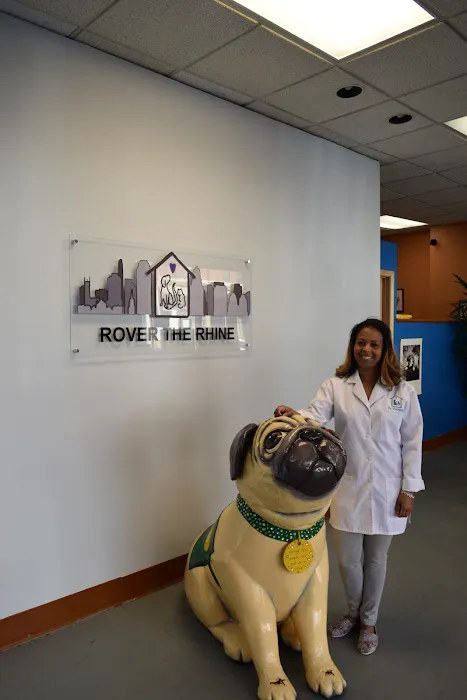 Rover The Rhine Picture 10