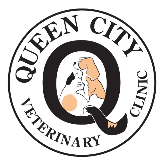 Queen City Veterinary Clinic Picture 1