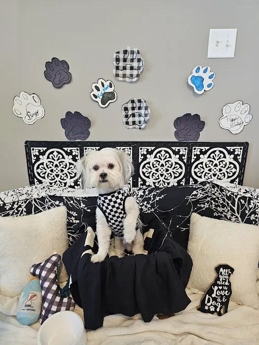 Woodridge Veterinary Hospital Picture 10