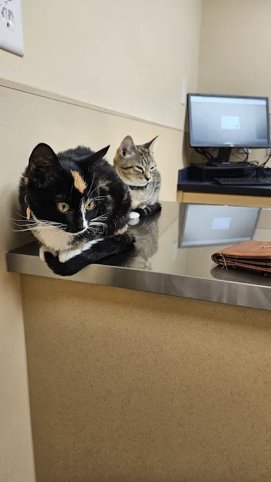 Noah's Ark Animal Clinic of Springdale Picture 6