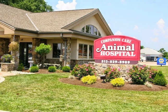 Companion Care Animal Hospital Picture 2