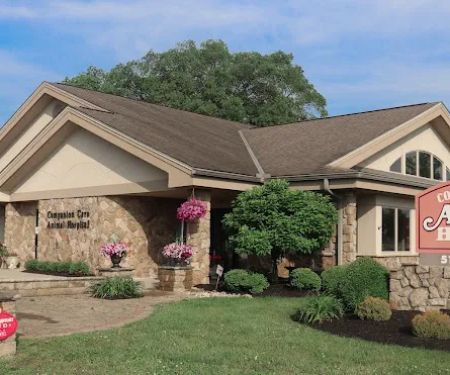 Companion Care Animal Hospital