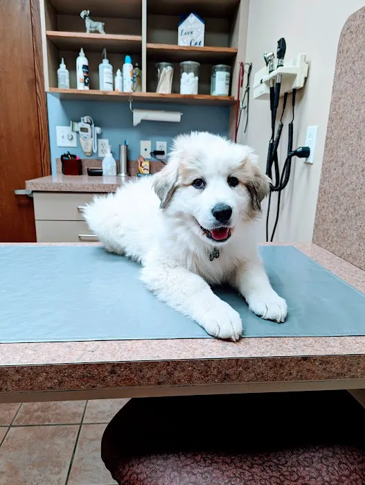 Companion Care Animal Hospital Picture 6