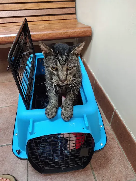 Companion Care Animal Hospital Picture 8