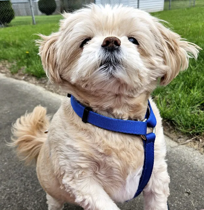 Companion Care Animal Hospital Picture 9