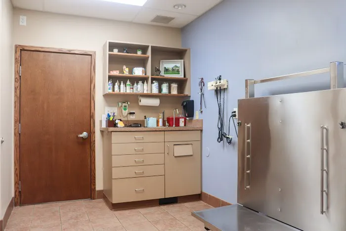 Companion Care Animal Hospital Picture 10