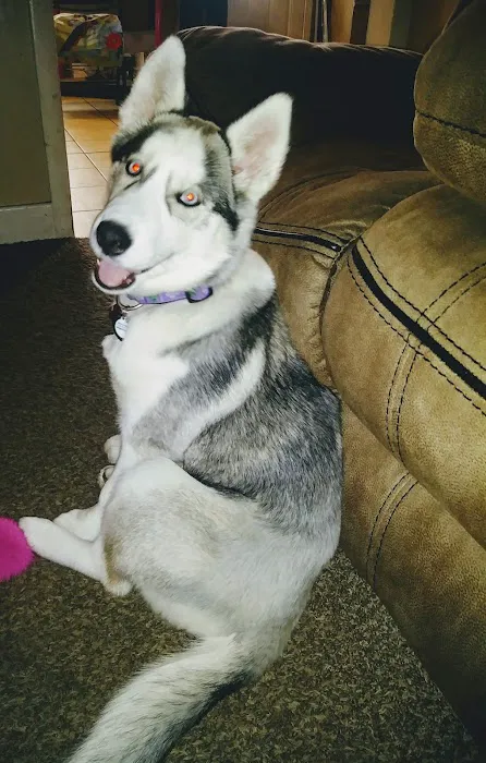 Clayton Animal Hospital Picture 2