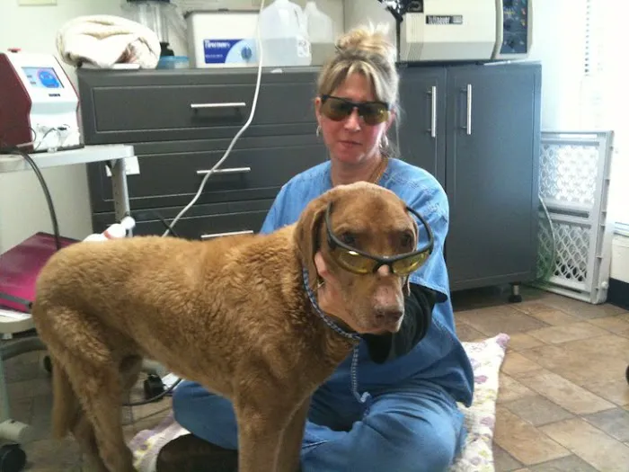 Clayton Animal Hospital Picture 6