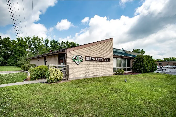 Gem City Vet Picture 3