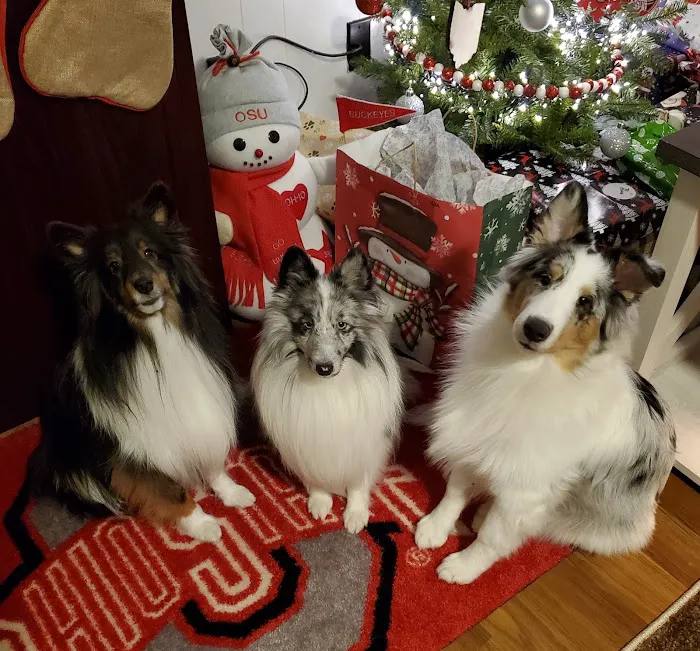 Oakview Veterinary Hospital Picture 1