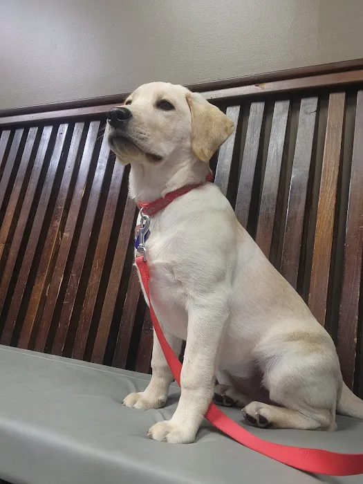 Oakview Veterinary Hospital Picture 5
