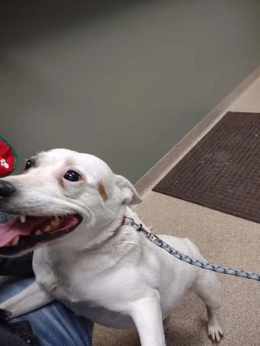 Mile Creek Animal Hospital Picture 2
