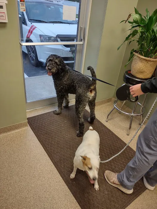 Mile Creek Animal Hospital Picture 3