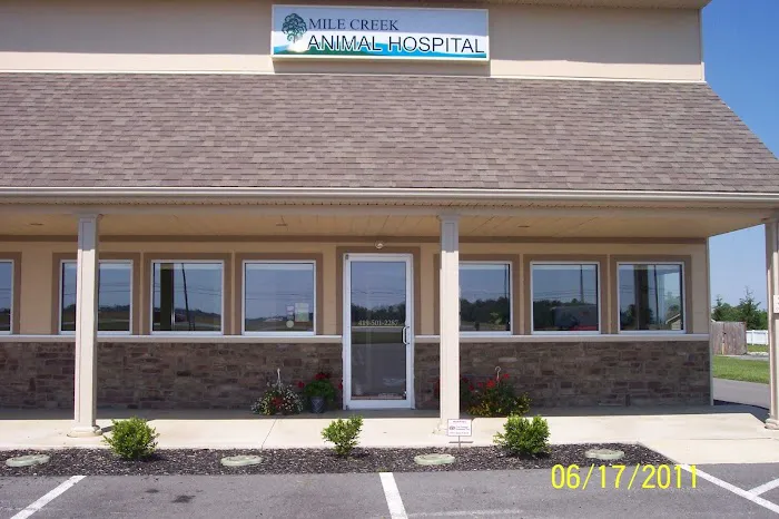 Mile Creek Animal Hospital Picture 6