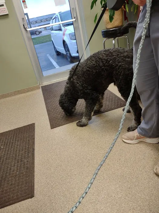 Mile Creek Animal Hospital Picture 5