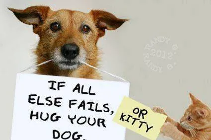 Mile Creek Animal Hospital Picture 9