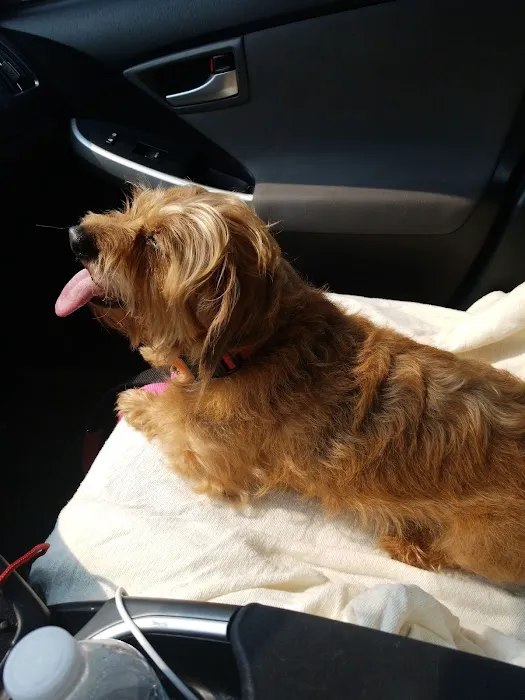 Bruns Animal Clinic, LTD Picture 9