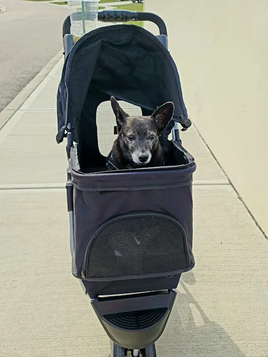 MedVet Cincinnati Picture 1