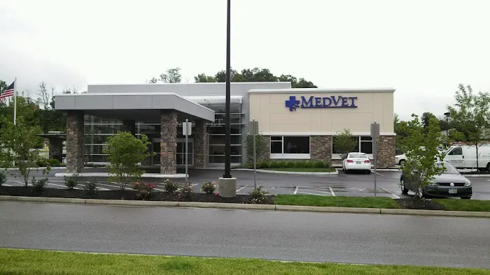 MedVet Cincinnati Picture 2