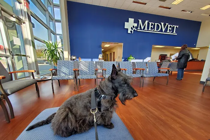MedVet Cincinnati Picture 5
