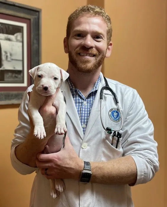 Mariemont Veterinary Clinic Picture 2
