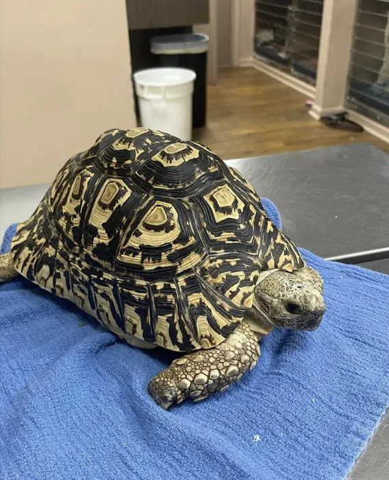 Mariemont Veterinary Clinic Picture 5