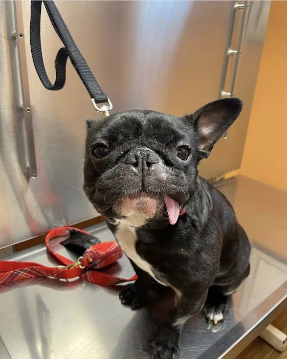 Mariemont Veterinary Clinic Picture 8