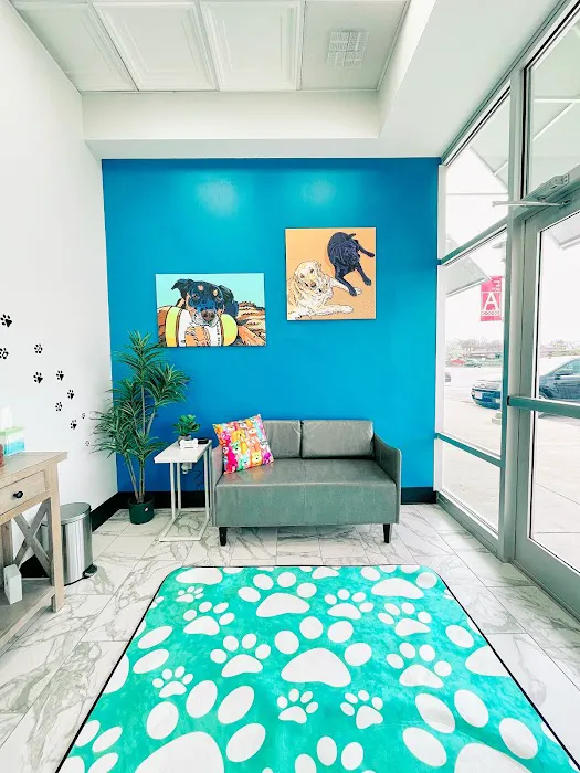 PetVet365 Pet Hospital Cincinnati/Hyde Park Picture 10