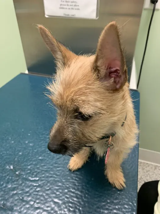 Brookville Animal Hospital Picture 9