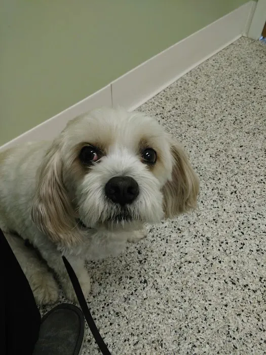 Brookville Animal Hospital Picture 10