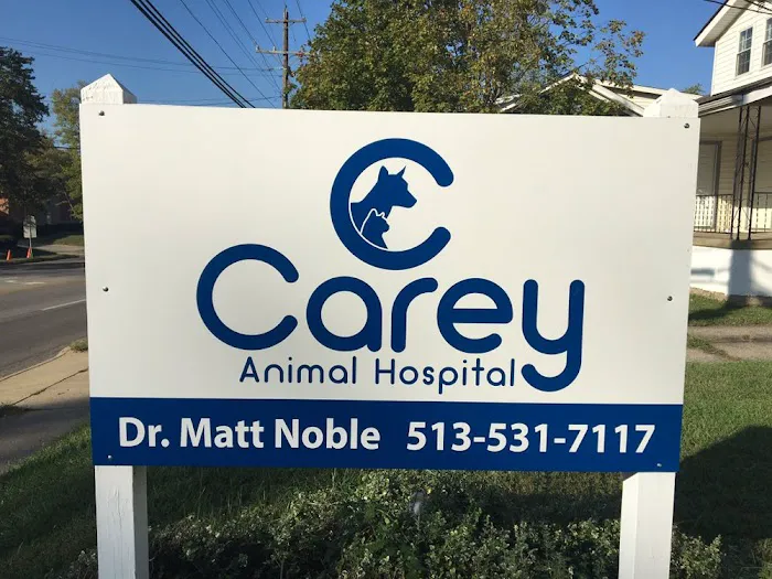 Carey Animal Hospital Picture 6