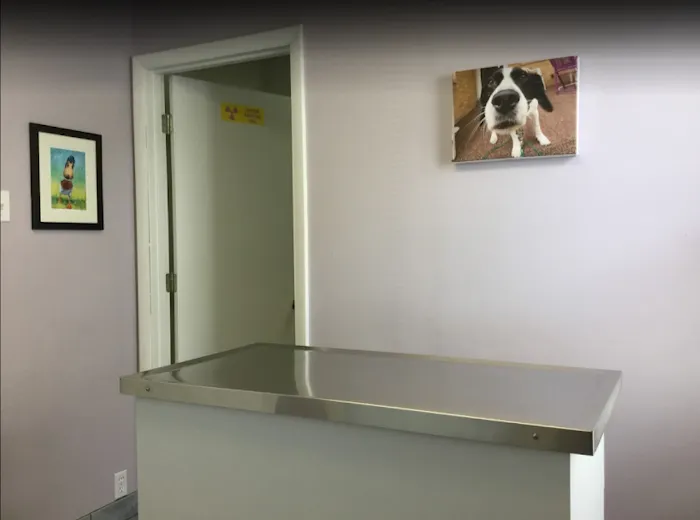 Carey Animal Hospital Picture 8