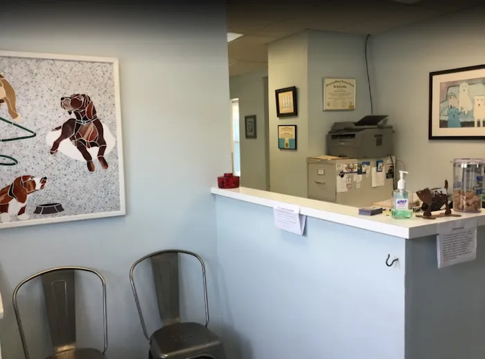 Carey Animal Hospital Picture 9