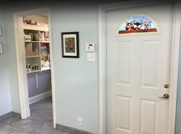 Carey Animal Hospital Picture 10