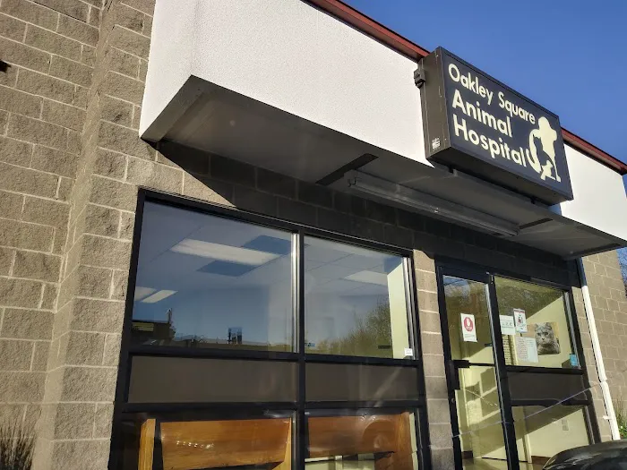 Oakley Square Animal Hospital Picture 3