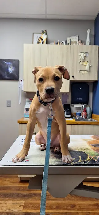 Twin Valley Vet Services, LLC Picture 5