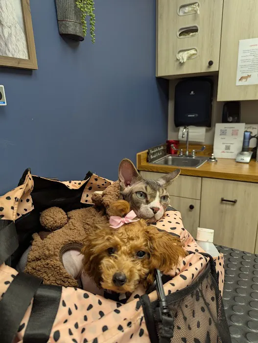 Twin Valley Vet Services, LLC Picture 3