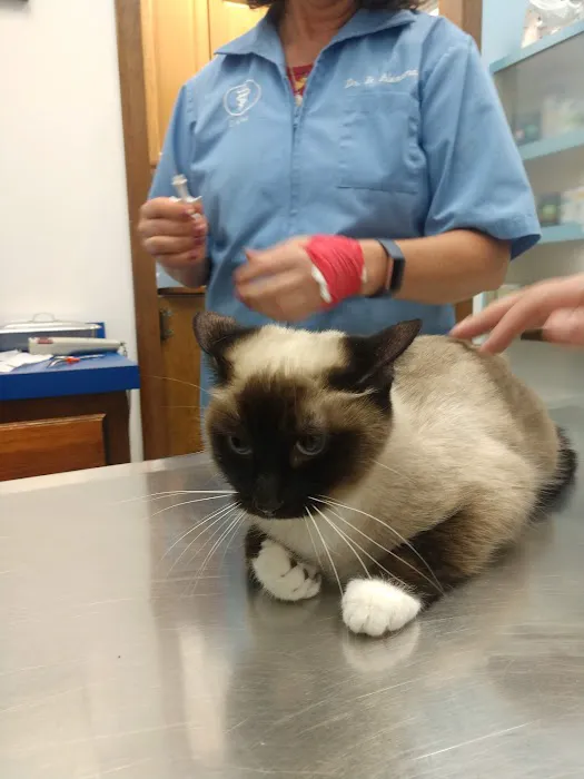 Lodder's Plaza Animal Clinic Picture 5