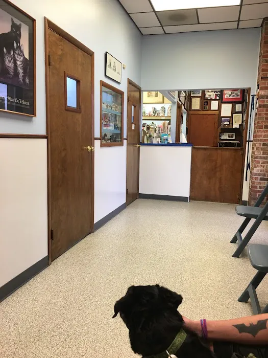 Lodder's Plaza Animal Clinic Picture 6