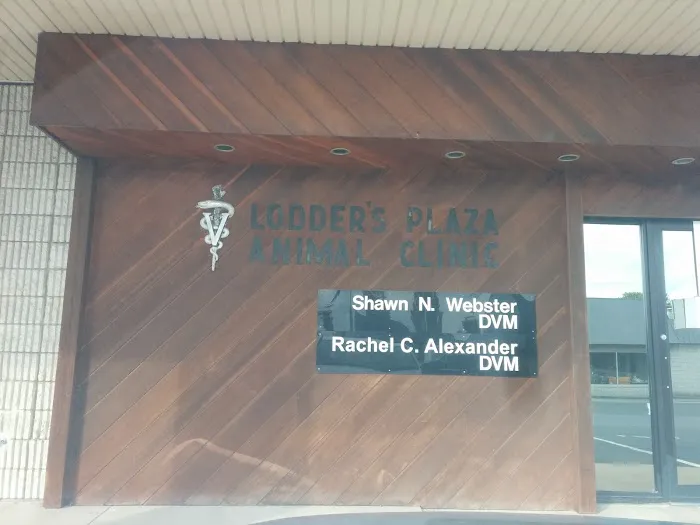 Lodder's Plaza Animal Clinic Picture 2