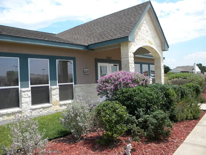Assure Vet Animal Hospital Picture 2