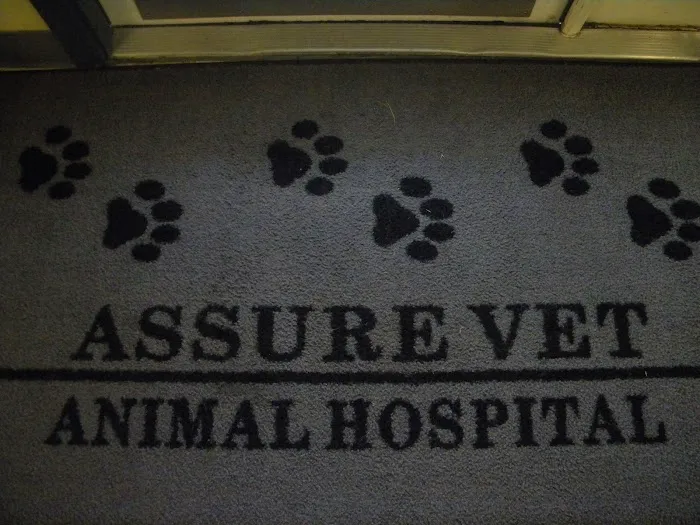 Assure Vet Animal Hospital Picture 5
