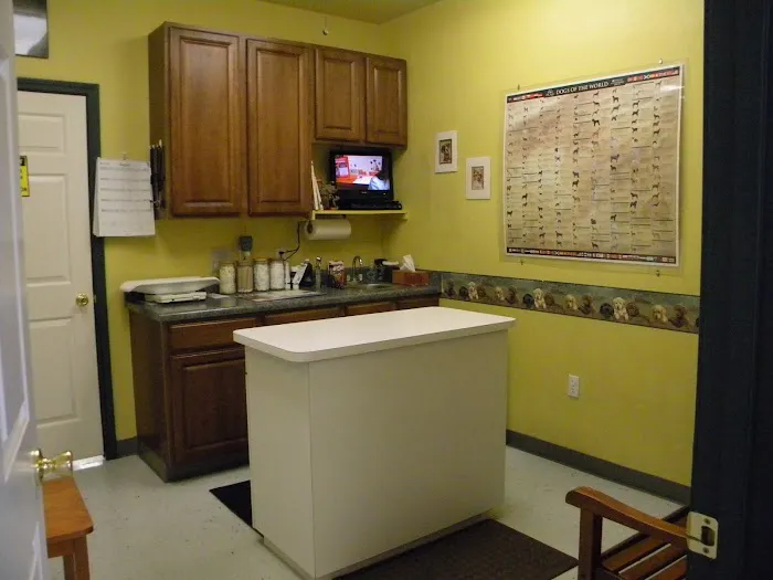 Assure Vet Animal Hospital Picture 4
