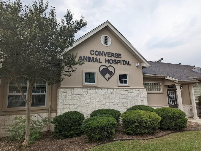 Converse Animal Hospital Picture 1