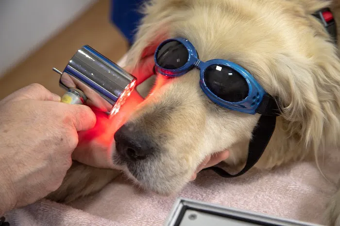 Converse Animal Hospital Picture 2