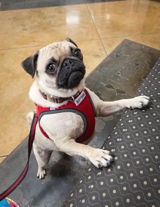 Converse Animal Hospital Picture 8