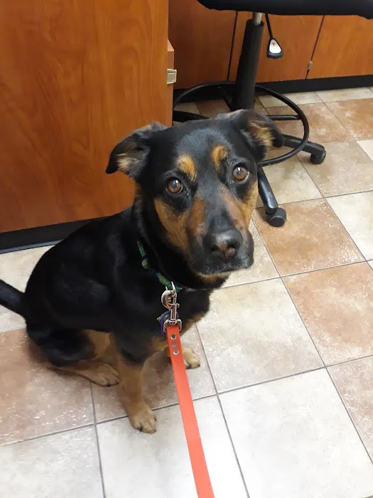 Banfield Pet Hospital Picture 2