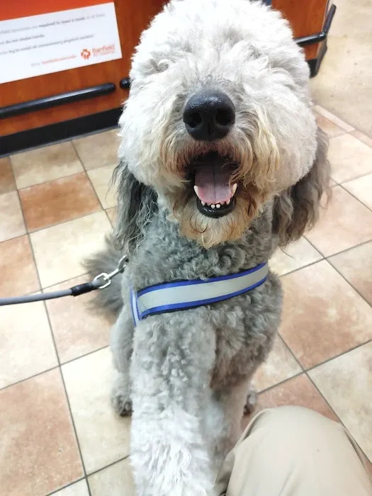 Banfield Pet Hospital Picture 1
